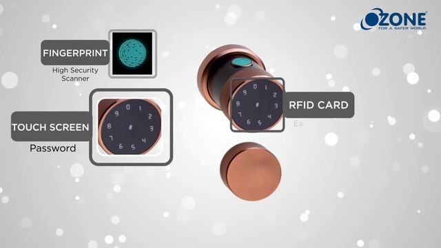 Oracle Series - Fingerprint Door Lock with Key Access in Bronze Finish | Ozone - OZ-FDL-11-RBL смотреть онлайн