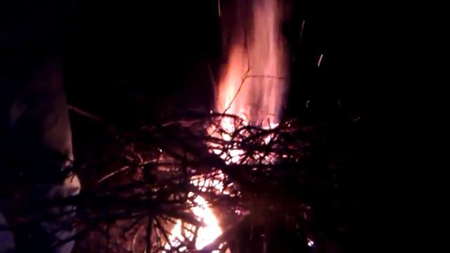 Поход в Лес Масаны 23.02.2014 #6 смотреть онлайн