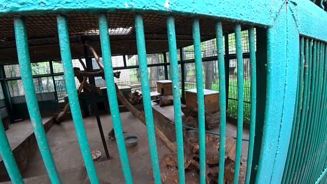 ЗООПАРК В НИКОЛАЕВЕ//ЧАСТЬ 2//НА МЕНЯ НАКАКАЛА ПТИЧКА//ЗАБАВНЫЕ ОБЕЗЬЯНЫ смотреть онлайн