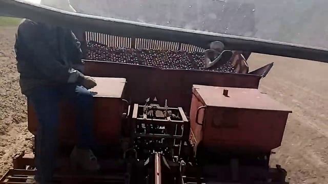 МТЗ-80.1+ картофелесажалка КСМ-4 смотреть онлайн