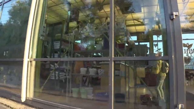 Отражение в витрине с моим любимым самокатом смотреть онлайн