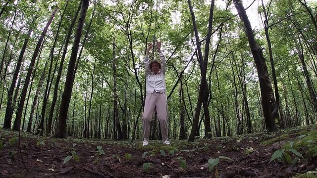 Nature Vibes - NewMan deep house mix (dance video) смотреть онлайн