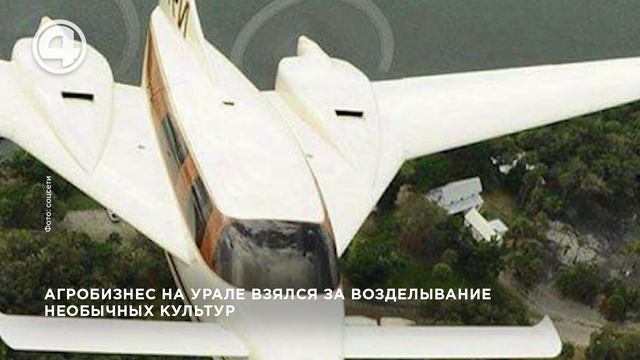 Агробизнес на Урале взялся на возделывание необычных культур