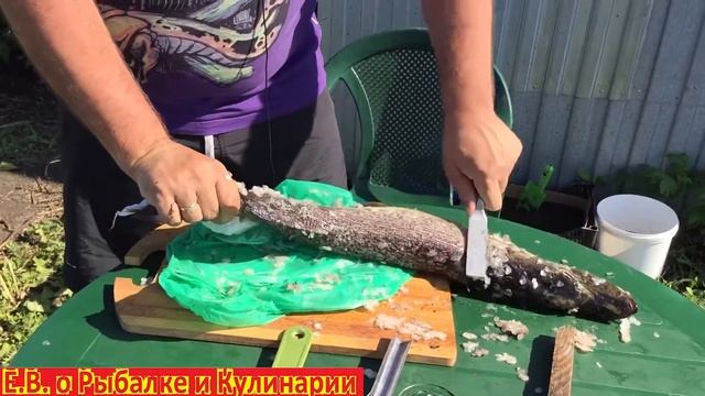 Самые лучшие рыбочистки для рыбы ТОП 3. ТОП 3 рыбочисток для рыбы. Лучшие рыбочистки. смотреть онлайн