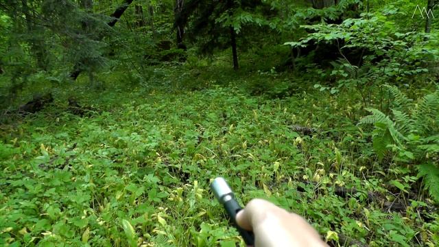 СИГНАЛ ОХОТНИКА против ПЕТАРД для защиты от медведя. Что громче? смотреть онлайн