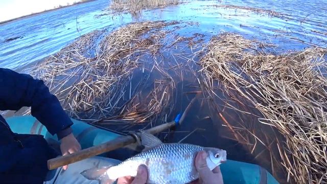 Не ожидали такого клева на фидер!Рыбалка с лодки весной 2021.Ловля на донки. смотреть онлайн