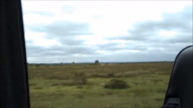 СЕРДЦЕ (на стихи В.Ходасевич, исп. Борис Ветров) смотреть онлайн