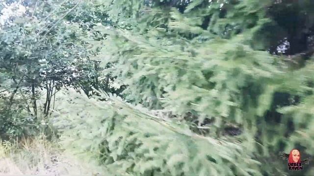 URBEX TRIP 4 ЧАСТЬ. Карамышево, Кумачёво, погранзастава Роминта.