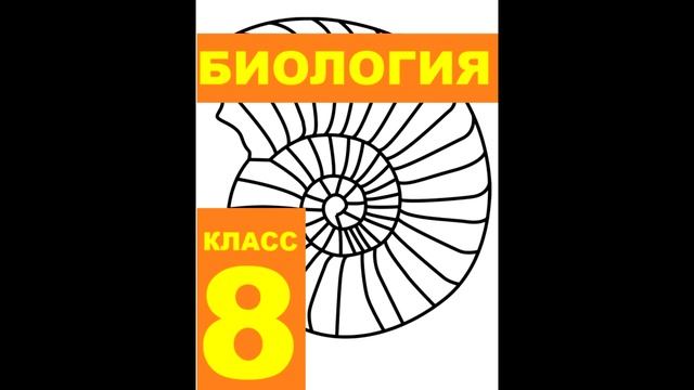 § 45 Понятие об анализаторах. Нарушение зрения смотреть онлайн