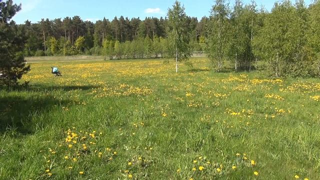 Часть 3. Йога Нидра. Книга смотреть онлайн