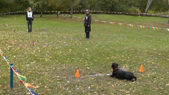 "Путёвка в жизнь" 04.10.2014 г. смотреть онлайн