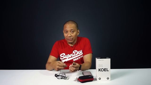 Mau mulai masuk ke high end Audio Portable? Brainwavz KOEL hanya under 1Jt смотреть онлайн