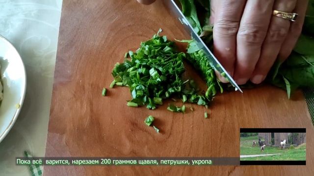 Как приготовить вкусный зелёный борщ, с говядиной смотреть онлайн