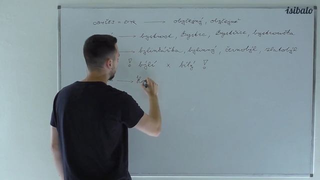 4 - Obyčej, bystrý, bylina, kobyla, býk, Přibyslav (ČJ - Vyjmenovaná slova) смотреть онлайн