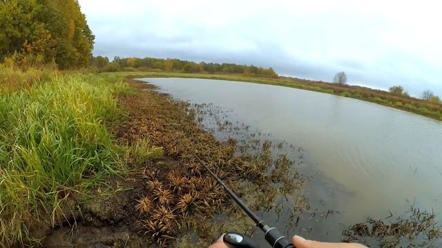 Рыбалка на луже! В этом жабовнике есть и хорошая щука! смотреть онлайн
