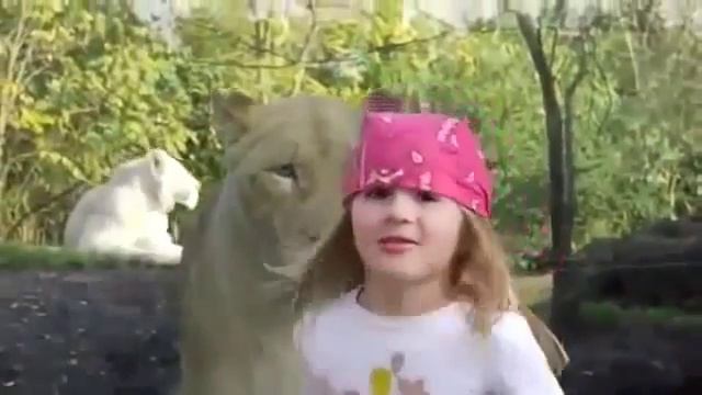 Неожиданно Девочка и львица Взгляд в душу