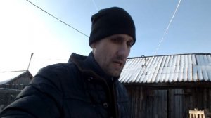 Какую породу гусей выбрать , чтобы гуска сама садилась на яйцо.