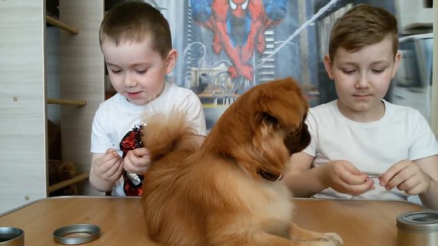 Распаковка Неокуба из Китая СУПЕРМАГНИТ смотреть онлайн