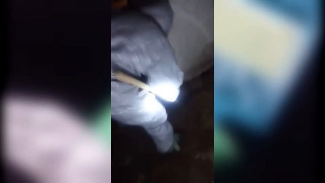 Гомель, розлив ртути смотреть онлайн