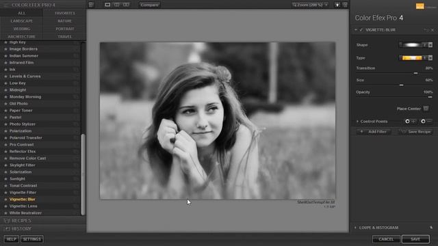 55) Making vignettes in the Google Nik Collection смотреть онлайн