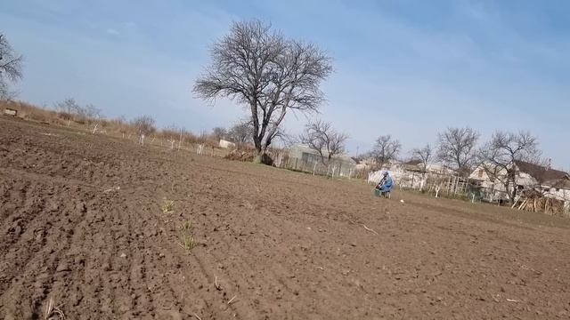Унижение другого НЕ ВЫХОД! ЭТО ДОРОГА В НИКУДА...Мама приехала сажать огород, Уже сажаю лук) смотреть онлайн