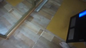 весы. ошибка на весах,их диагностика и как добиться точных показаний