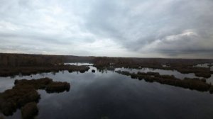 Королев.Торфянка