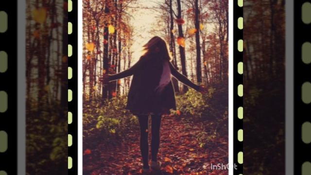 Всех прощаю...( на стихи Аллы Жем) смотреть онлайн