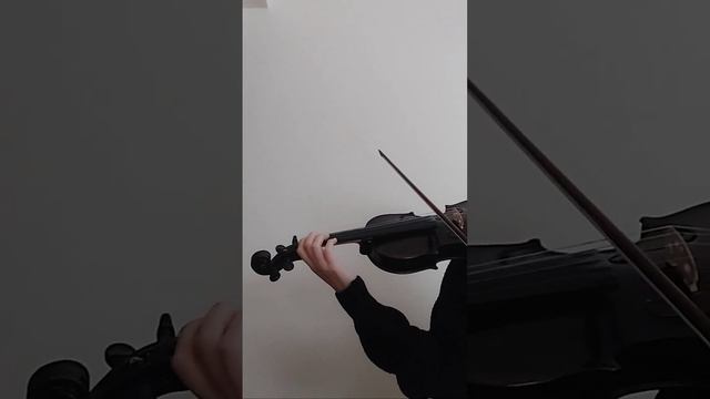Yaprak Dökümü Keman | Koza(Fikret)