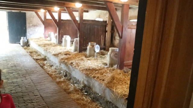 Влог 49. Овцы в музее?! Как жили раньше... Семейный день в Голландии ⚓ смотреть онлайн