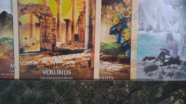 ??♀️•Poruke od Univerzuma•??♂️ смотреть онлайн