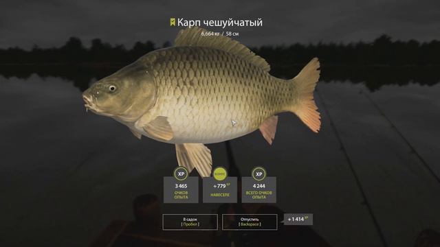Нашел Карпа! • Отличный Фарм! • Какие Бойлы? • Взял Трофея • Оз. Янтарное • Русская Рыбалка 4 #83 смотреть онлайн