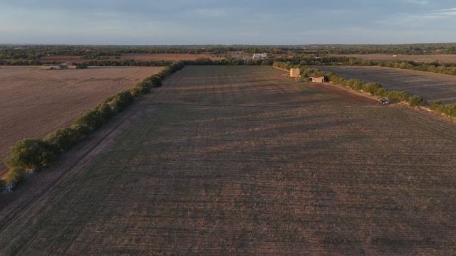 Son Perot смотреть онлайн