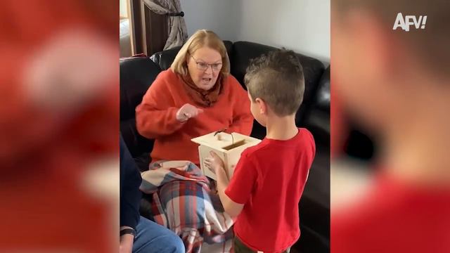 Подборка приколов (Watch Out For The Bugs 🪲)