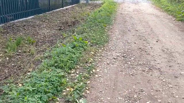 Как чистить канаву от кустов и деревьев. смотреть онлайн