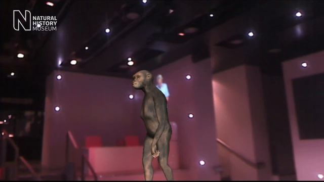 Augmented Reality at the Natural History Museum, London смотреть онлайн