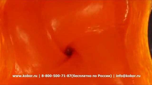 Блендер Hamilton Beach HBF600-CE | Видео от Кобор смотреть онлайн