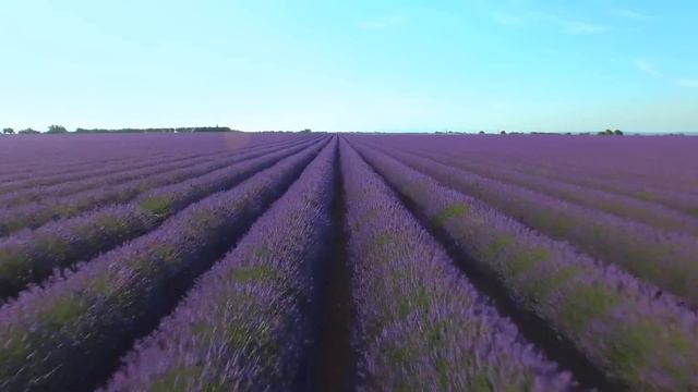 Gift Of Something - Classical music - Piano Music - Kishori Ezra Pipin смотреть онлайн