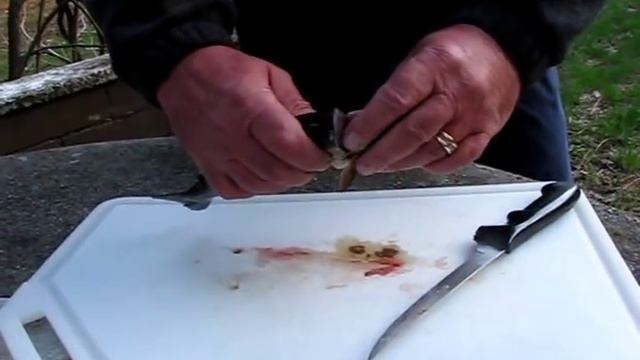The Easiest Way to Clean a Trout смотреть онлайн