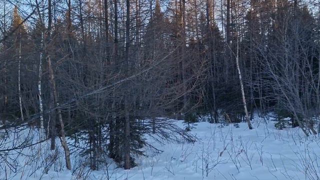 07.01.2023 г.Хабаровский край.Советская Гавань. Друзья , Всех Вас С Рождеством Христовым! смотреть онлайн