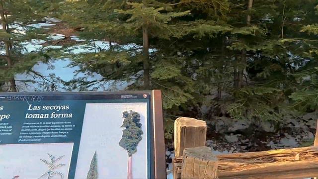 Калифорния. Парк Секвойя, Знак Голливуда, Аллея Славы, Малибу. смотреть онлайн