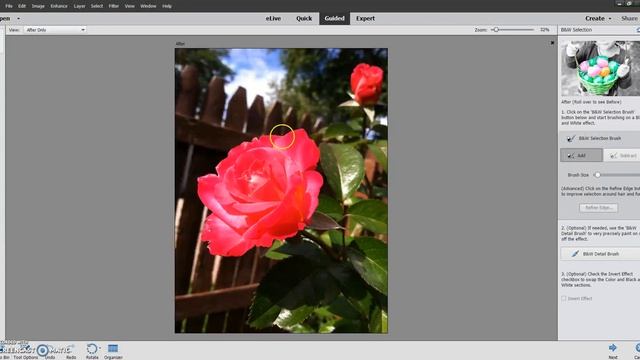 How to edit a photo in Photoshop Elements 15 смотреть онлайн