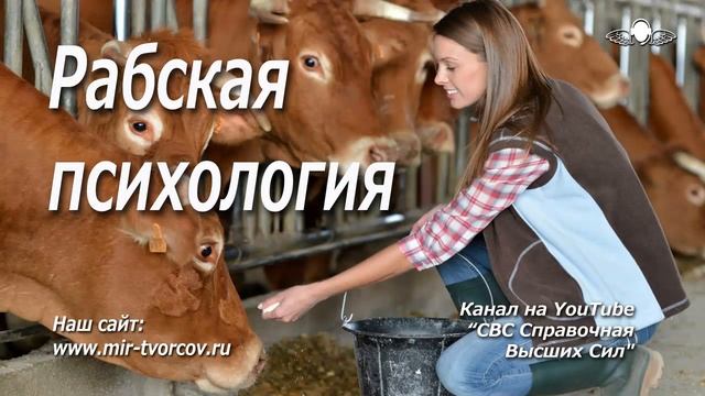 552 Рабская психология. Откуда она берется. Одна из естественных причин смотреть онлайн