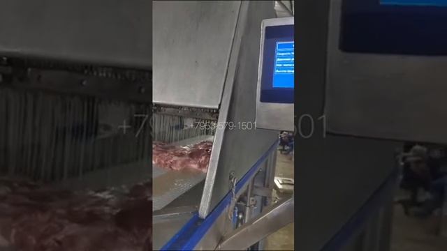 Инъектор для мяса много игольчатый 100 смотреть онлайн