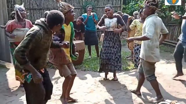 Видео отчёт о сафари по Уганде! Дикие животные и танцы пигмеев! смотреть онлайн