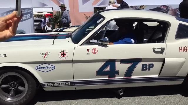 GT-350s Leaving The Quail Lodge 2015 смотреть онлайн