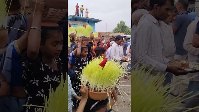 palera ke javare(3) смотреть онлайн