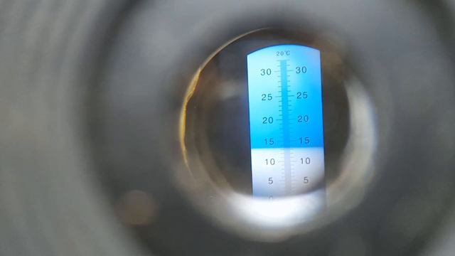 Крыжовник Пакс. Обзор, брикс, дегустация. смотреть онлайн