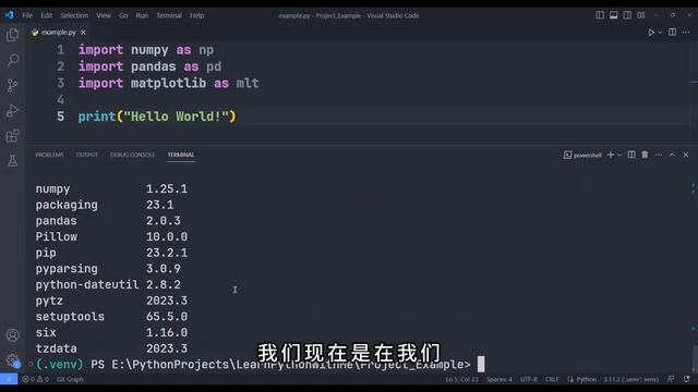 和我一起玩Python——ep24. Pypi和Pip смотреть онлайн