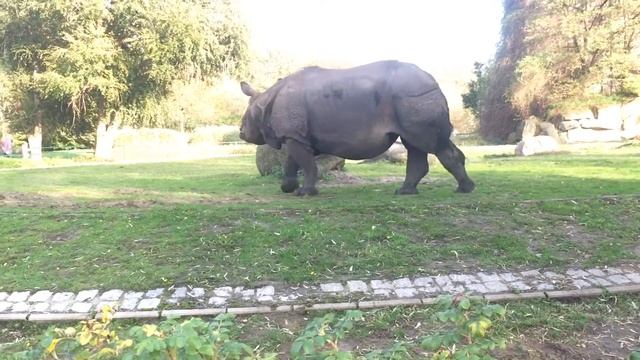 Tierpark Berlin - Зоопарк в Берлине